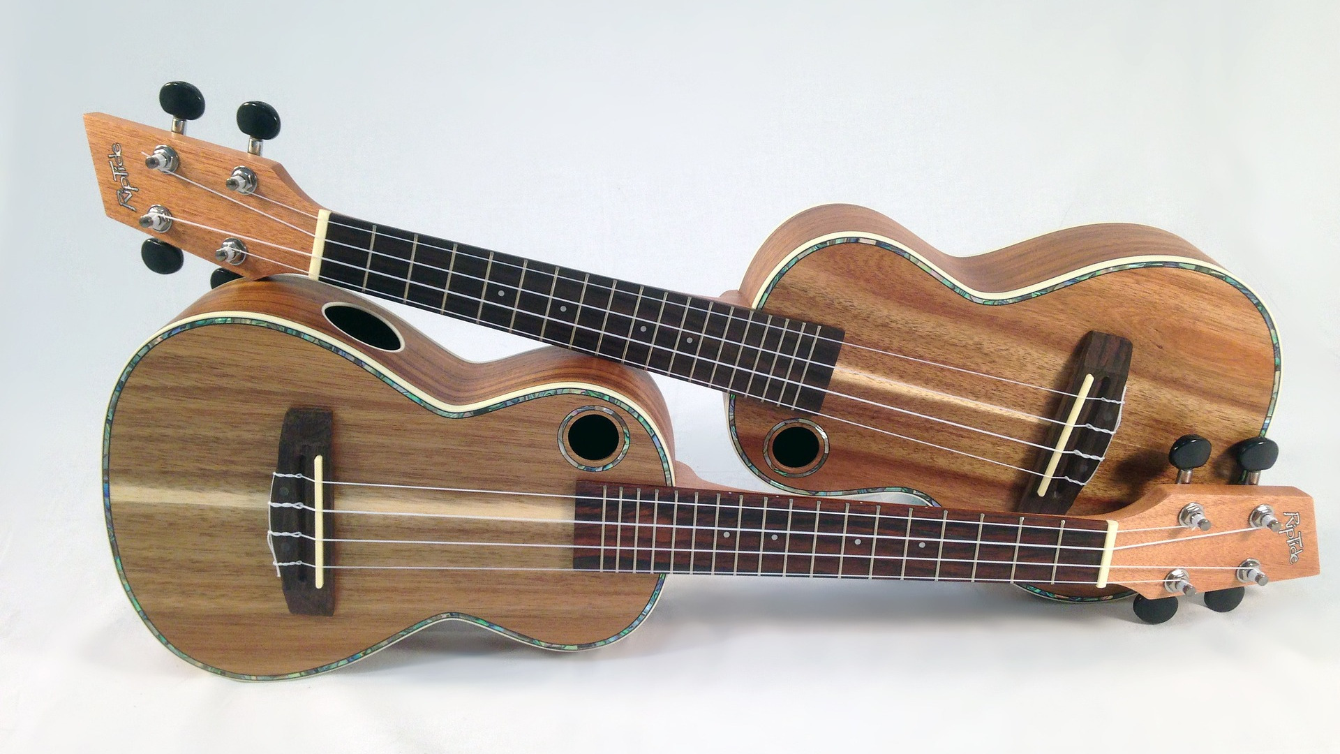 Music Live Musikschule Ukulele Unterricht